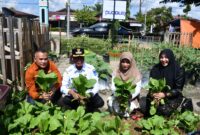 - Pj Walikota Langsa Dr. Syaridin S.Pd., M.Pd mengunjungi Pekarangan Pangan Lestari (P2L) Gampong Matang Seulimeng kecamatan Langsa Barat