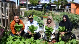 - Pj Walikota Langsa Dr. Syaridin S.Pd., M.Pd mengunjungi Pekarangan Pangan Lestari (P2L) Gampong Matang Seulimeng kecamatan Langsa Barat