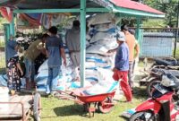 Pemerintah Desa Situbuk Kecamatan Teupah Tengah Kabupaten Simeulue melaksanakan penyaluran bantuan pupuk kepada masyarakat di Kantor Kepala Desa setempat, Rabu (23/10/2024).
