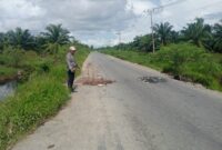 Jalan berlubang rawan kecelakaan 