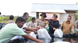 Kapolres Bireuen AKBP Jatmiko, S.H., M.H., menyerahkan dan menebar 3000 bibit Ikan Nila kepada Kelompok Pembudi Daya Ikan (POKDAKAN).