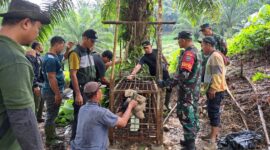 BKSDA bersama warga dan Muspika Indra Makmu pasang perangkap Harimau 