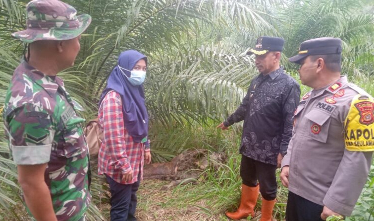 Foto : dok waspada
