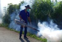 Salah seorang petugas melakukan fogging di lorong Setia Gampong Lhok Bani, Kecamatan Langsa Barat 