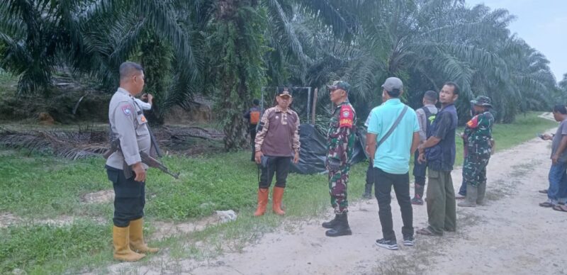 Camat Indra Makmu Irwansyah Panjaitan bersama Forkopimcam lainnya berada di TKP perangkap harimau yang telah diselubungi 