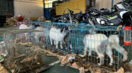 Barang ilegal yang digagalkan Bea Cukai Langsa bersama Tm Gabungan 