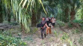 Korban tenggelam 
berhasil ditemukan dan dievakuasi oleh warga 