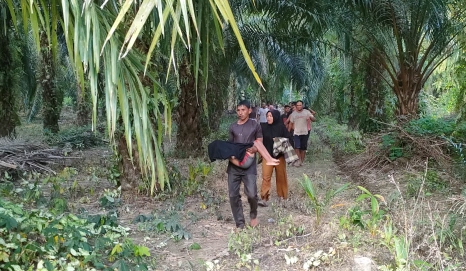 Korban tenggelam 
berhasil ditemukan dan dievakuasi oleh warga 