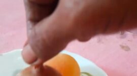 Telur bertangkai yang di temukan warga 