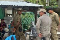 Anggota Satpol PP dan WH Aceh Besar amankan manusia silver yang mencoba beroperasi di Simpang Ajun, Kecamatan Darul Imarah, Aceh Besar, Sabtu (3/5/2025).