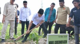Wakil Gubernur Aceh, Fadhlullah, meresmikan pusat pelatihan budidaya bibit kakao unggul di lahan seluas 14 hektar di Gampong Aramiyah, Kecamatan Bireum Bayeun, Kabupaten Aceh Timur, pada Jumat, (16/5/2025).