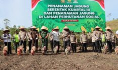 Polda Aceh Kerahkan Ratusan Alsintan untuk Dukung Penanaman Jagung Serentak Kuartal III