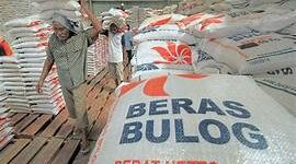 Gambar Net