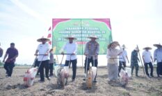 Polres Lhokseumawe Tanam Jagung Serentak di Lahan Perhutani 