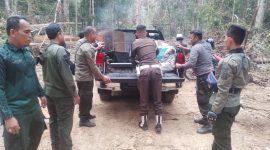 KPH Wilayah IV Bersama Aparat TNI–Polri Hentikan Aktivitas Perambahan Hutan Beutong secara Ilegal 