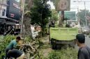 Petugas DLH Kota Langsa melakukan pemangkasan pohon di Jalan A Yani  untuk menjaga kebersihan Kota Langsa.