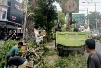Petugas DLH Kota Langsa melakukan pemangkasan pohon di Jalan A Yani  untuk menjaga kebersihan Kota Langsa.