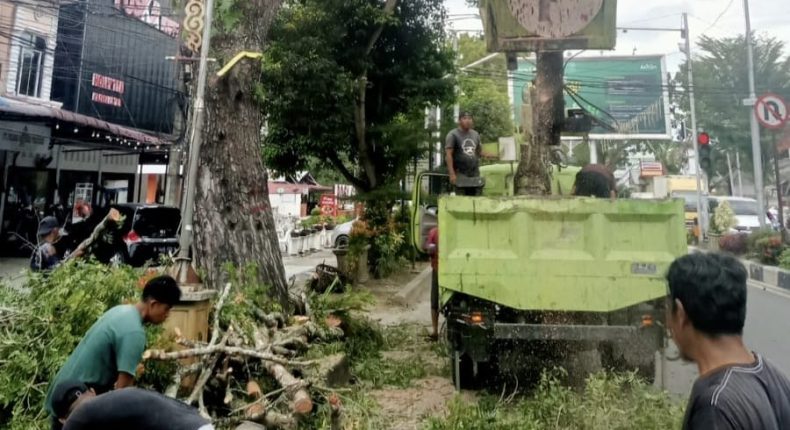 foto slider headline