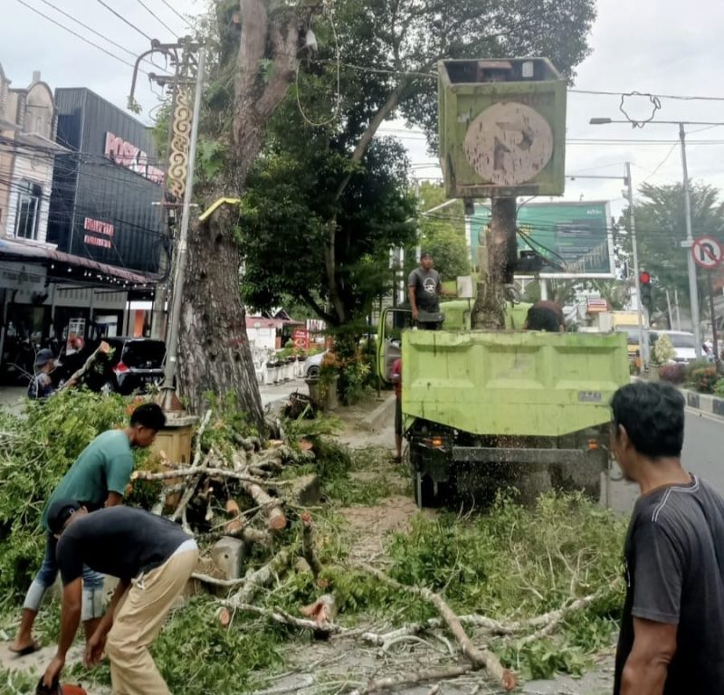 Petugas DLH Kota Langsa melakukan pemangkasan pohon di Jalan A Yani  untuk menjaga kebersihan Kota Langsa.