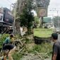 Petugas DLH Kota Langsa melakukan pemangkasan pohon di Jalan A Yani  untuk menjaga kebersihan Kota Langsa.