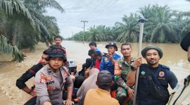 APAKTUAN I Atjeh Terkini,id- Upaya penyelamatan dramatis berhasil dilakukan oleh tim gabungan TNI, Polri, BPBD Aceh Selatan, serta relawan Sabtu (29/11/2025),