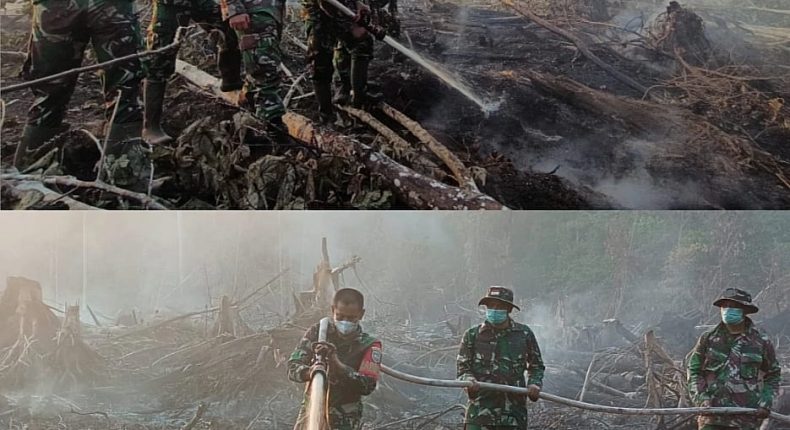 foto slider headline