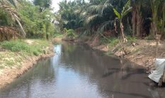 Diduga Limbah Cemari Sungai, Polsek Baktiya Cek Pabrik Pengolahan Sagu