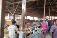 Aktivitas jual beli di Pasar Hewan Geulumpang Payong, Kecamatan Jeumpa, Kabupaten Bireuen menjelang bulan suci Ramadhan 1447 Hijriah Harga sapi  meningkat Signifikan, Sabtu 14 Februari 2026.