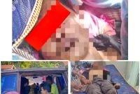 Seorang pria Musbahar (53) meninggal dunia setelah menjadi korban amukan kawanan gajah liar saat berada di kebun miliknya, Kampung Pantanlah, Kecamatan Pintu Rime Gayo, Kabupaten Bener Meriah. Sabtu (21/02/26)