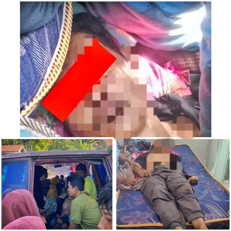 Seorang pria Musbahar (53) meninggal dunia setelah menjadi korban amukan kawanan gajah liar saat berada di kebun miliknya, Kampung Pantanlah, Kecamatan Pintu Rime Gayo, Kabupaten Bener Meriah. Sabtu (21/02/26)