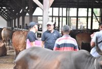 Pemerintah Kabupaten Bireuen memaksimalkan dana bantuan kemanusiaan dari Presiden Republik Indonesia untuk menyambut tradisi meugang menjelang Ramadhan 1447 Hijriah. Dana sebesar Rp2.250.000.000 tersebut sebelumnya direncanakan untuk pengadaan 45 ekor lembu bagi masyarakat terdampak banjir Senin 16 Februari 2026..