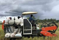 Sejumlah petani mengeluhkan bahwa kenaikan biaya panen cukup menekan pendapatan para petani berdasarkan harga jual gabah. Selasa, 10/02/2026