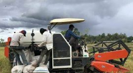 Sejumlah petani mengeluhkan bahwa kenaikan biaya panen cukup menekan pendapatan para petani berdasarkan harga jual gabah. Selasa, 10/02/2026